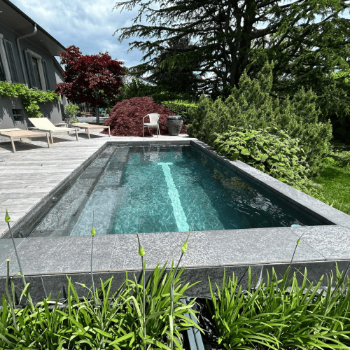 Swim SPA